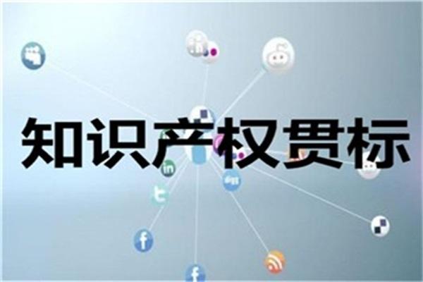 阜陽(yáng)市知識(shí)產(chǎn)權(quán)貫標(biāo)