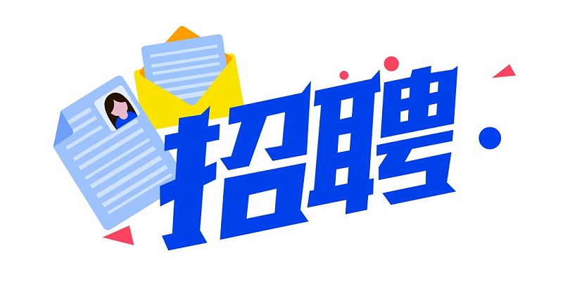 合肥市招聘網(wǎng)站建設(shè)開(kāi)發(fā)